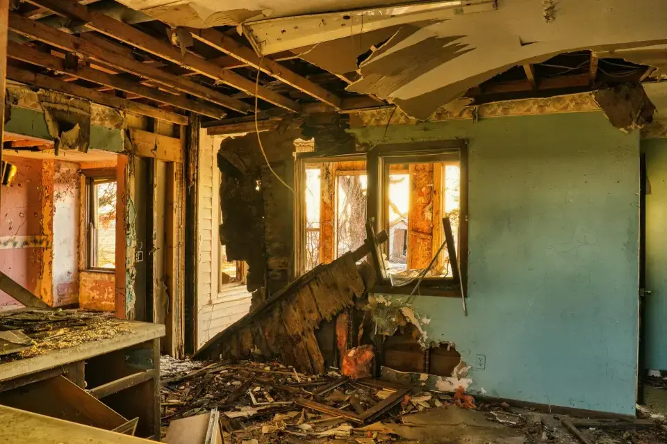 Modesto's Trusted Mold Removal & Remediation Specialists — Modesto, CA